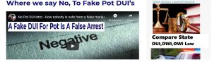 Click to visit No Pot DUI website